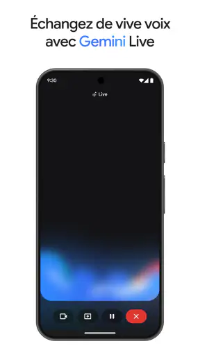 Google Gemini screenshot