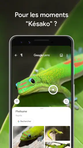 Google Lens screenshot