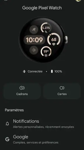 Google Pixel Watch screenshot