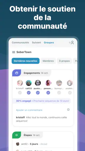 I Am Sober - Je suis sobre screenshot