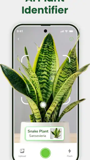 Identificateur de plantes screenshot