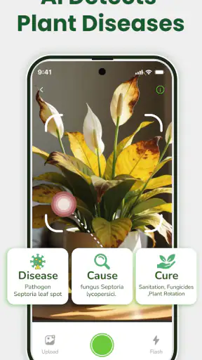 Identificateur de plantes screenshot