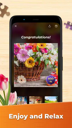 Jeux de Puzzle Pour Adultes screenshot