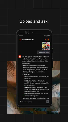 Le Chat by Mistral AI screenshot
