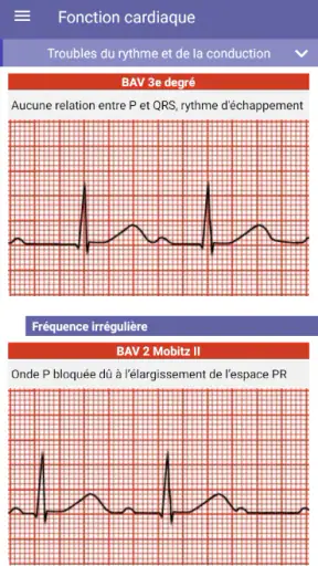 Le Guide IADE screenshot
