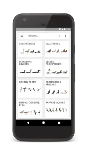 Le Guide Ornitho screenshot