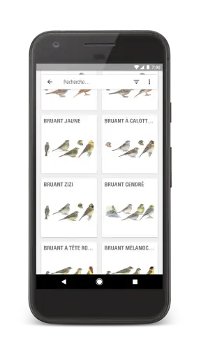Le Guide Ornitho screenshot