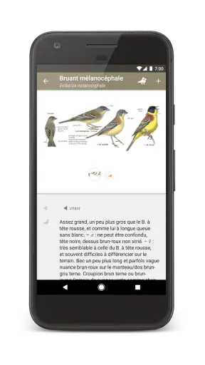 Le Guide Ornitho screenshot