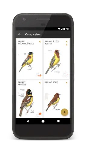 Le Guide Ornitho screenshot
