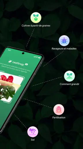 LeafSnap Plant Identification screenshot