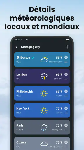 Local Weather screenshot