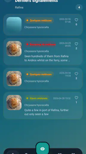 Meduseo screenshot