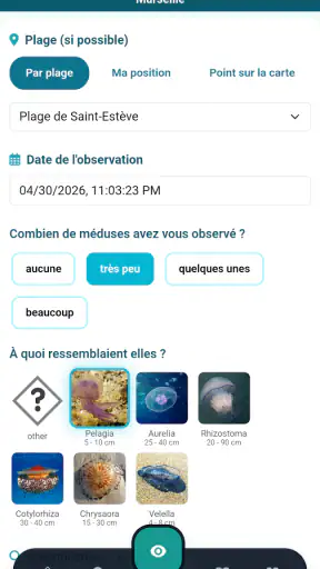 Meduseo screenshot