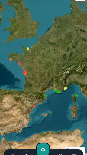 Meduseo screenshot