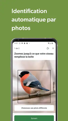 Merlin Bird ID par Cornell Lab screenshot