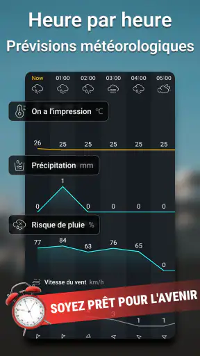 Météo précise en temps réel screenshot