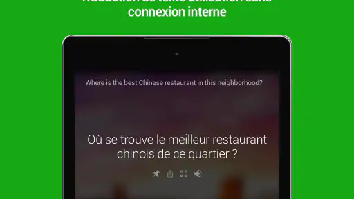 Microsoft Traducteur screenshot