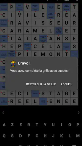 Mots Fléchés Français screenshot