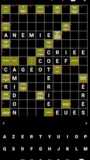 Mots Fléchés Français screenshot