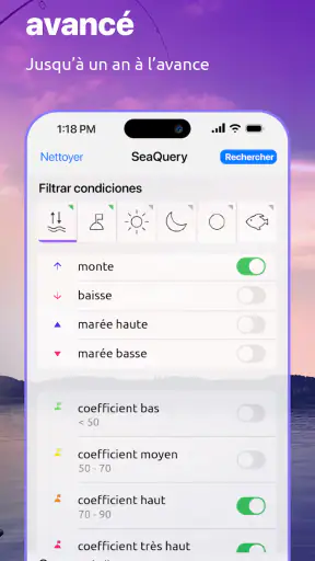 Nautide: Marées, Vent, Vagues+ screenshot
