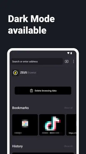 Navigateur Internet - ZEUS screenshot