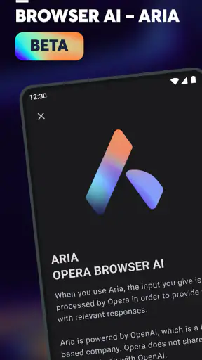 Navigateur Opera bêta screenshot