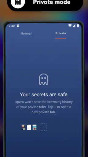 Navigateur Opera bêta screenshot