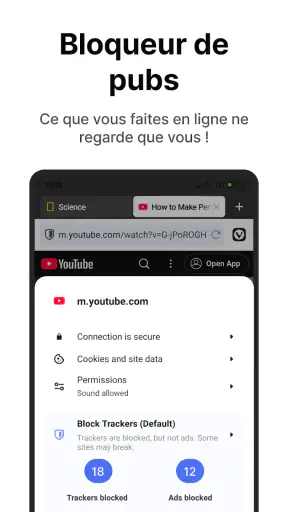 Navigateur Vivaldi : Rapide screenshot