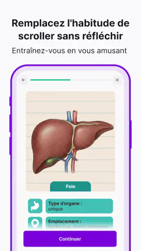 Nibble : Quiz & apprentissage screenshot