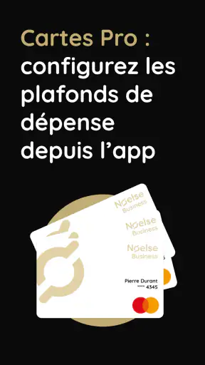 Noelse - Compte + Carte + RIB screenshot
