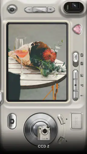 OldRoll - Vintage Film Caméra screenshot