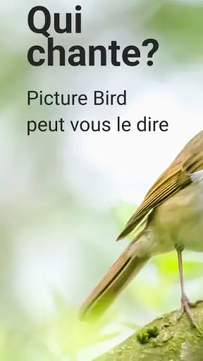 Picture Bird - Bird Identifier screenshot