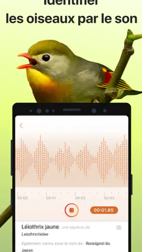 Picture Bird - Bird Identifier screenshot