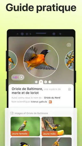 Picture Bird - Bird Identifier screenshot