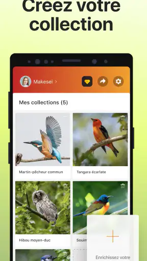 Picture Bird - Bird Identifier screenshot