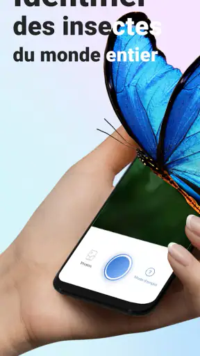 Picture Insect - Insectes ID screenshot