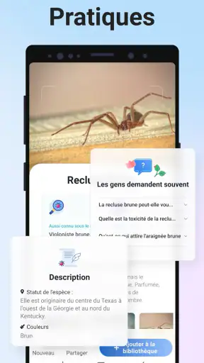 Picture Insect - Insectes ID screenshot