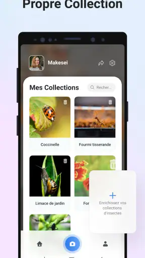 Picture Insect - Insectes ID screenshot