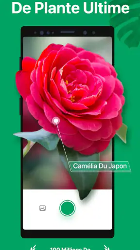 PictureThis Plante Identifier screenshot
