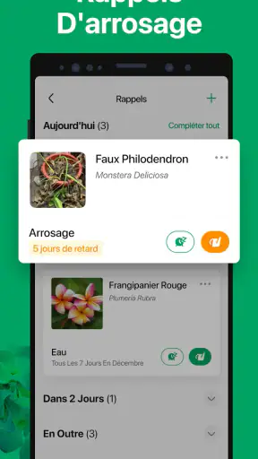 PictureThis Plante Identifier screenshot