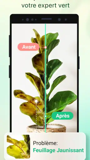 Plant Parent - Guide entretien screenshot