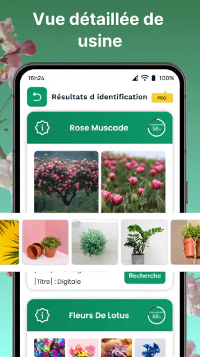 Plantes Reconnaissance App screenshot