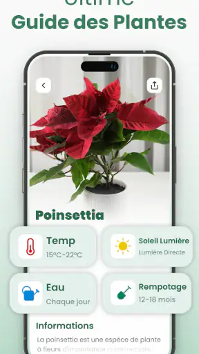 Plantify: Plante Identifiant screenshot