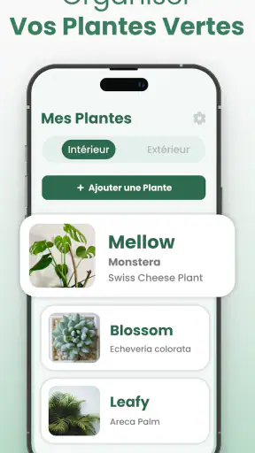 Plantify: Plante Identifiant screenshot