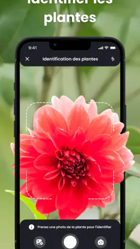 PlantIn plantes reconnaissance screenshot