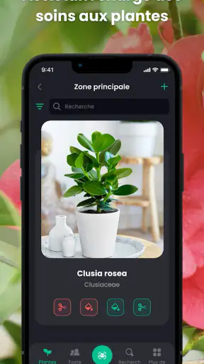 PlantIn plantes reconnaissance screenshot
