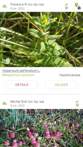 PlantNet Identification Plante screenshot