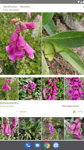 PlantNet Identification Plante screenshot