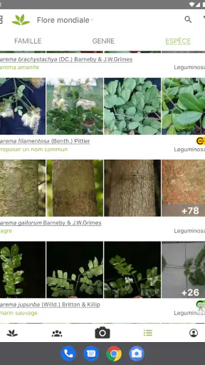 PlantNet Identification Plante screenshot