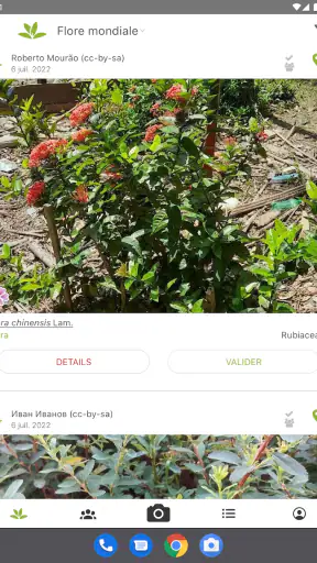 PlantNet Identification Plante screenshot